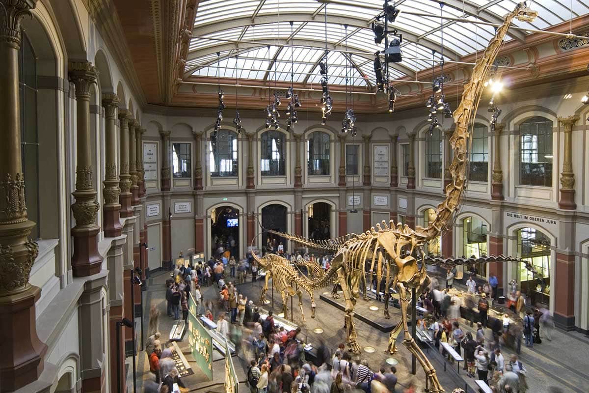 Sauriersaal im Lichthof des Museums für Naturkunde Berlin